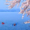 Wisatawan mendayung kayak di Danau Biwa