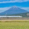 Naik Shinkansen Pertama Kali? Baca Ini Dulu! Naik Shinkansen Pertama Kali? Baca Ini Dulu!
