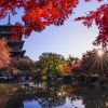 Autumn Forecast 2025 Jepang Autumn Forecast 2025 Jepang