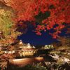 Kyoto Autumn 2025: Rekomendasi Destinasi untuk Menikmati Musim Gugur Terbaik! Kyoto Autumn 2025: Rekomendasi Destinasi untuk Menikmati Musim Gugur Terbaik!