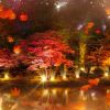 Sapporo Autumn Illuminations 2025: Pesta Cahaya di Nakajima Park! Sapporo Autumn Illuminations 2025: Pesta Cahaya di Nakajima Park!