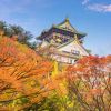 Musim Gugur di Osaka? Ini 7 Tempat yang Wajib Dikunjungi! Musim Gugur di Osaka? Ini 7 Tempat yang Wajib Dikunjungi!