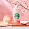 Starbucks Jepang Rilis Frappuccino Spesial Hinamatsuri Pertama dalam Sejarah