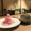 Wajib Coba! Dessert Sakura Matcha Khusus Musim Semi di Kagurazaka