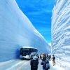 Alpen Route Jepang 2026 Dibuka, Saatnya Jalan di Antara Tembok Salju 