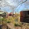 Kichijoji, Tempat Idaman di Tokyo Barat yang Punya Banyak Cerita