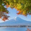Rekomendasi Spot Menikmati Keindahan Gunung Fuji