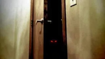 1476132_240678836092027_1786547549_n