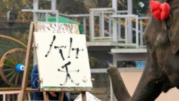 1735149gajah-jepang780x390