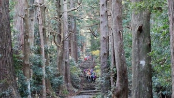 1a 0928376hutann5780x390 1a 0928376hutann5780x390