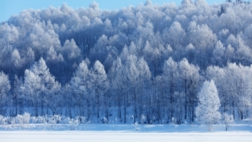 1c b45e3b8fb5a46c0b1b35754454b30db6-1024x682