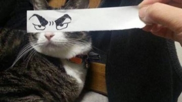 1e1  e12wua0lzj7mkfuaurxx