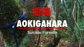 aokigahara-suicide-forest
