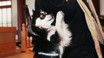 3074184795_91bca1ae7e