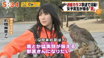 falconergirl