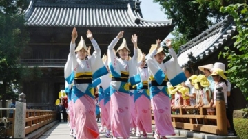 awa odori