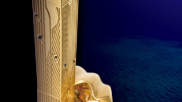 one piece luxury goods - main