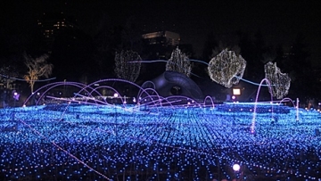 2013-12-03-Starlightsea