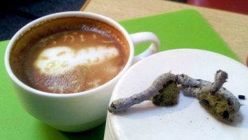 silkworm-cafe-japan