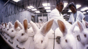 Shiseido-Animal-Testing-Cosmetics