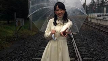 transparant umbrella cover