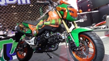 Ninja Turtles bike (1)