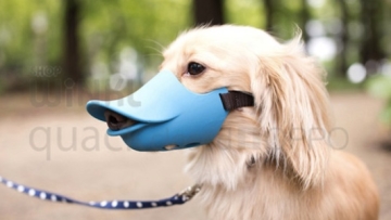oppo-dog-muzzle-quack-closed-duck-bill-3