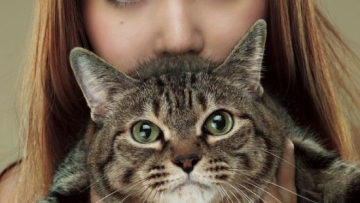 nakagawa-shoko_1392051787_2014210_nakagawa_9lives_regular