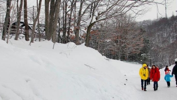 1810469saljuu780x390