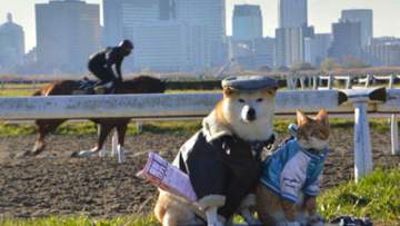 KikuchiyoTorajiro (2)