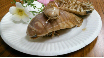 isopodagorengraksasa