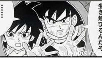 Dragon-Ball-Minus-Goku-s-Mother-Gene-3