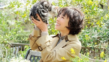 Gou_Gou,_The_Cat_(Japanese_Drama)-0001