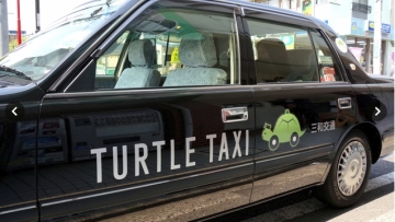 Turtle Taxi (1)
