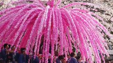 hana-mikoshi