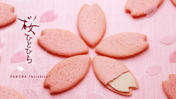 image_139668569761_article