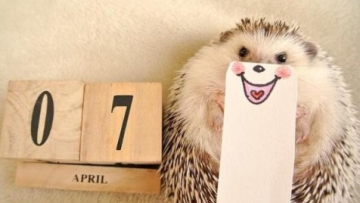 marutaro-002-destriyana