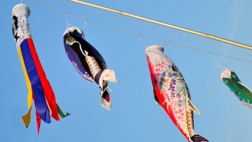 koinobori-kasai-rinkai