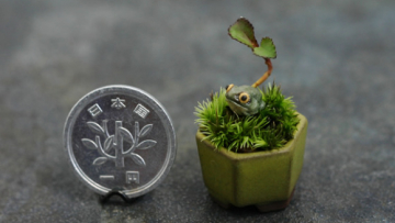mini bonsai (1)