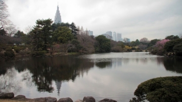 shinjuku-gyoen-9-670x440