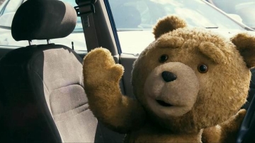 teddyincar1