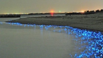 toyama-yang-menyala-di-malam-hari (1)