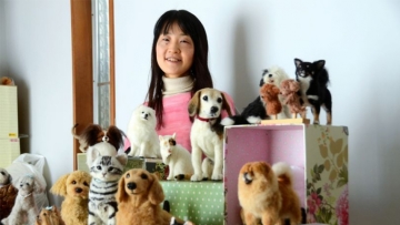 departedpetswoolmay31-775x437