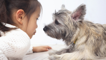 犬と女の子
