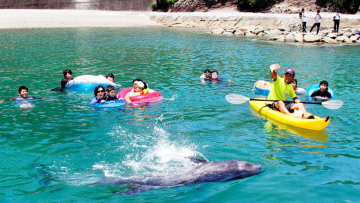 KujirahamabeachinTaijijul18 KujirahamabeachinTaijijul18