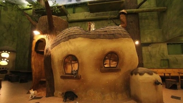 Temari no Ouchi  (1)