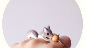 animal accesories (1)