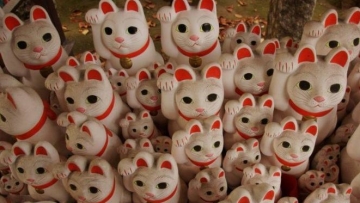 kuil-gotokuji--jepang_663_382