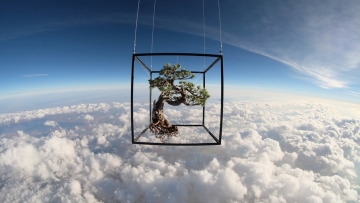 makoto-azuma-EXOBIOTANICA-BOTANICAL-SPACE-FLIGHT-1