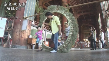 ritual tahunan rumput gajah